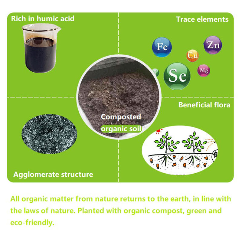 15L Compost Bin Garden Courtya - Compost Bin Countertop incelemesi ve fiyatı