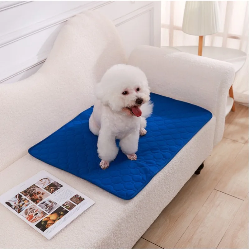Reusable Dog Pee Pad Blanket A - Cloth Diaper Insert incelemesi ve fiyatı
